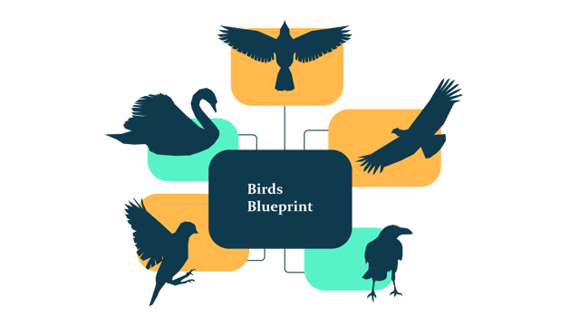 Birds Solution Blueprint